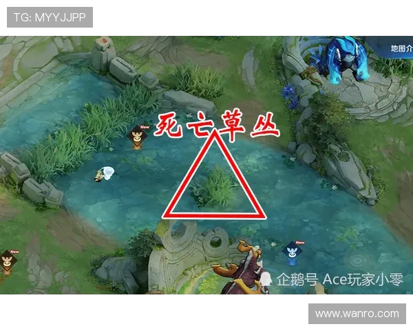 TES心理素质引发热议王者荣耀赛场背后的心理战解析 TES心理素质引发热议王者荣耀赛场背后的心理战解析