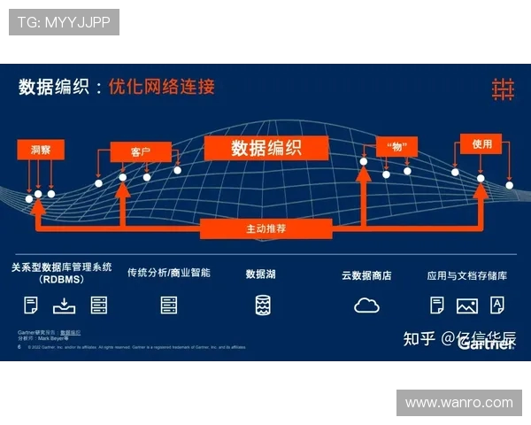 广州攀岩队的区域防守策略与技术分析深度探讨