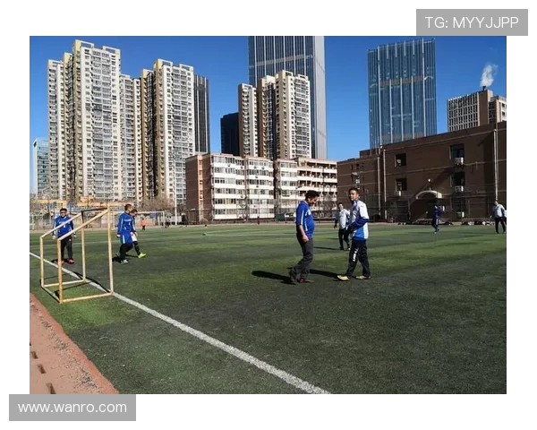 深入探讨北京足球队在比赛中的意识表现与数据分析结果