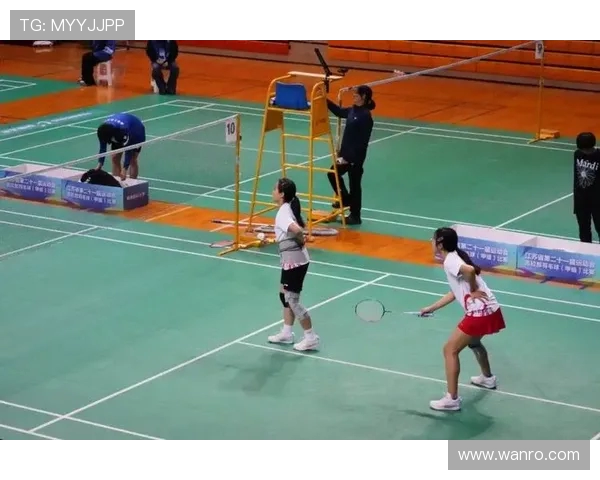 羽毛球意识排行榜揭晓南京羽毛球队荣获第六名佳绩