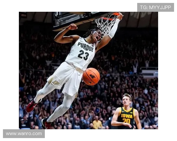 杰登艾维：从新秀到明星球员的成长之路与未来展望