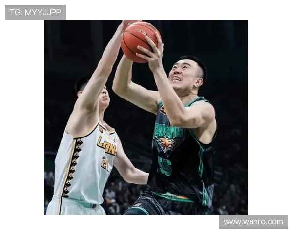 韩德君:从篮球新星到球队核心的成长之路与辉煌成就