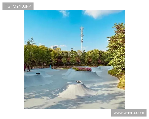 武汉滑板队的快攻策略与技巧深度解析揭秘滑板文化的魅力与挑战