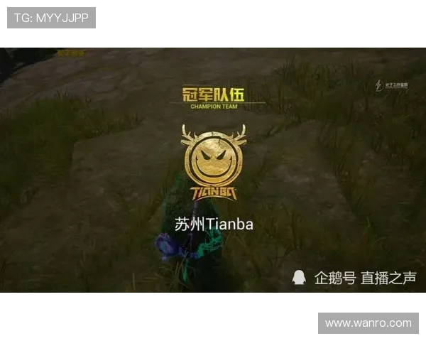 和平精英心理素质排行榜揭晓RNG战队荣登第三名引发热议