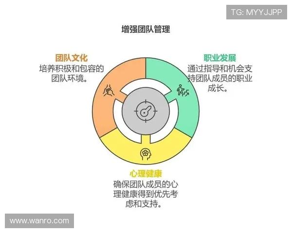 深圳攀岩队团队协作模式深度剖析与其他城市队伍的对比研究